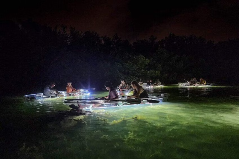 Kayaking Siesta Key